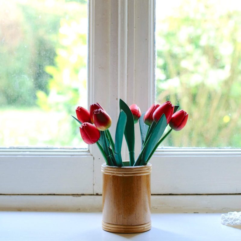potted-plant