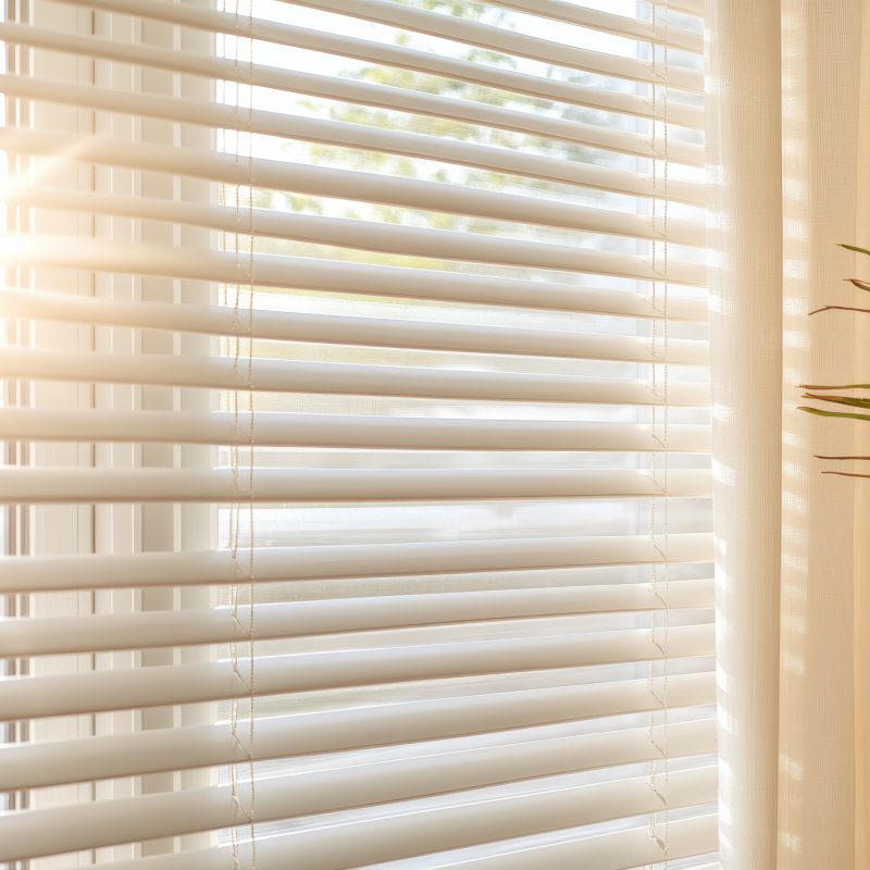 a plant in front of blinds