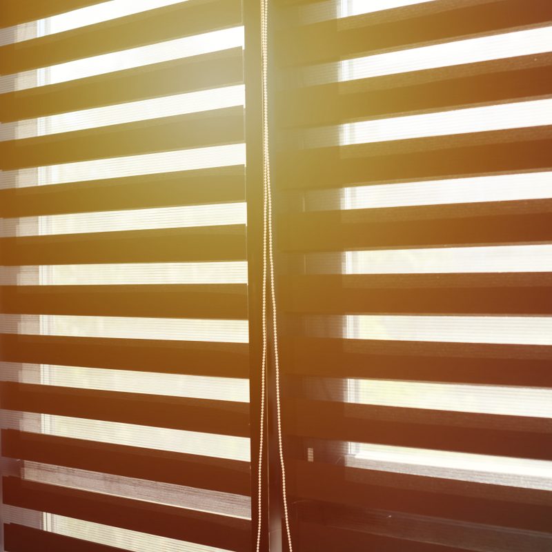 light filtering through blinds