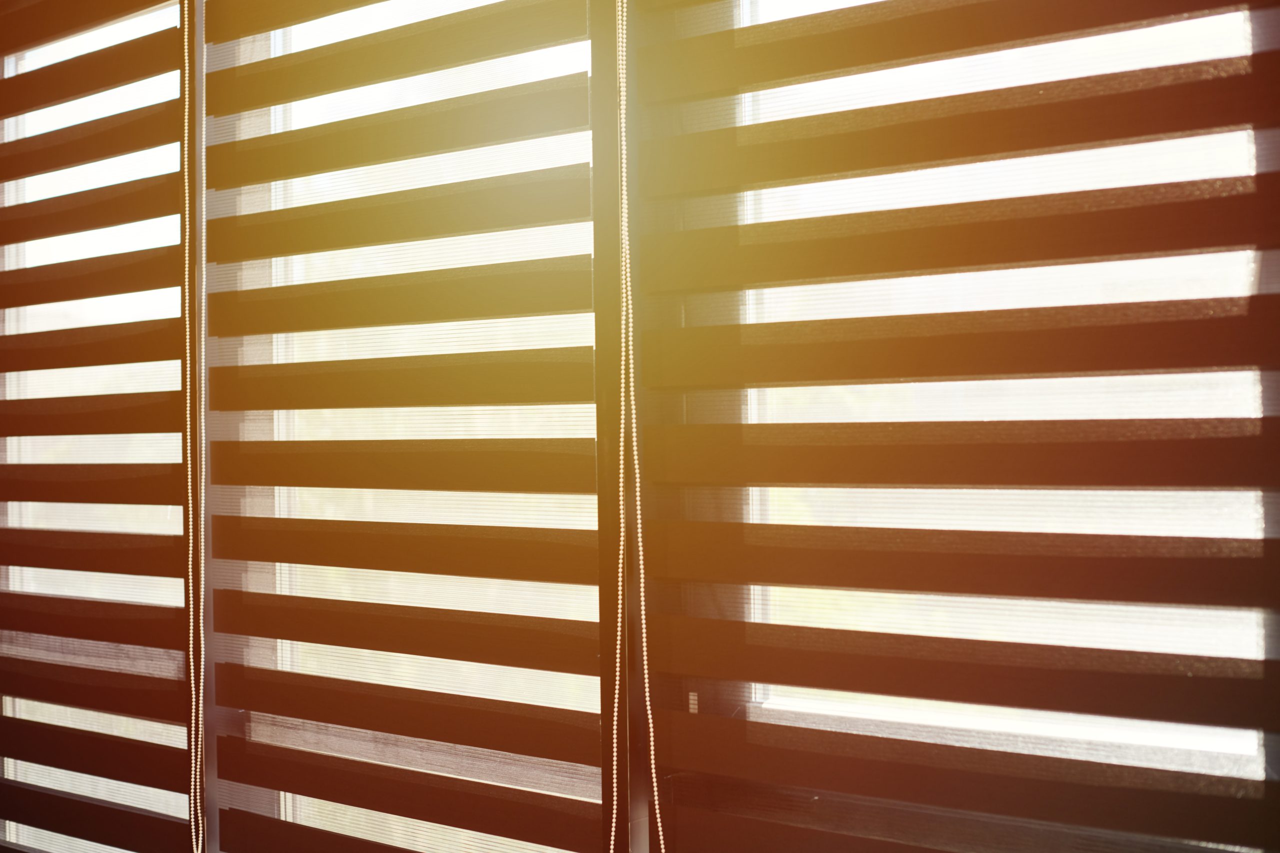 A Guide to Selecting the Right Blinds for Minnesota’s Four Seasons
